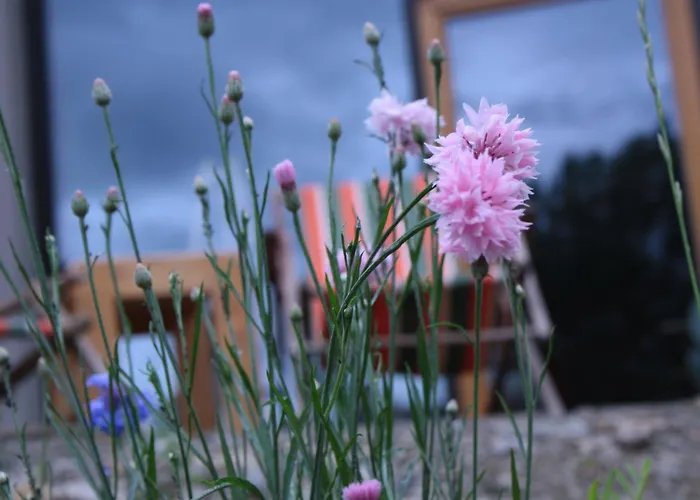 게스트하우스 Veloinn Im Weimarer Land 바트베르카