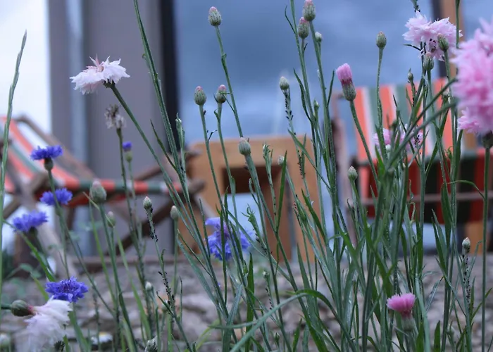 Veloinn Im Weimarer Land 바트베르카