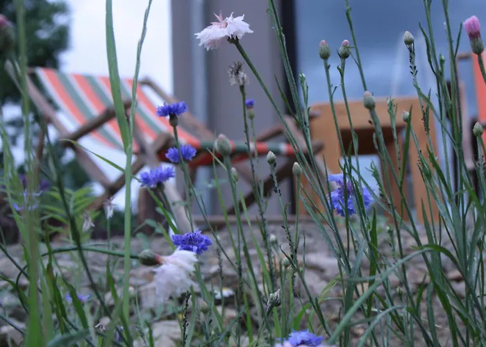 Konukevi Veloinn Im Weimarer Land Bad Berka