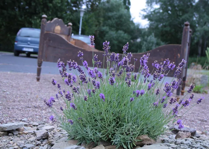 게스트하우스 Veloinn Im Weimarer Land 바트베르카